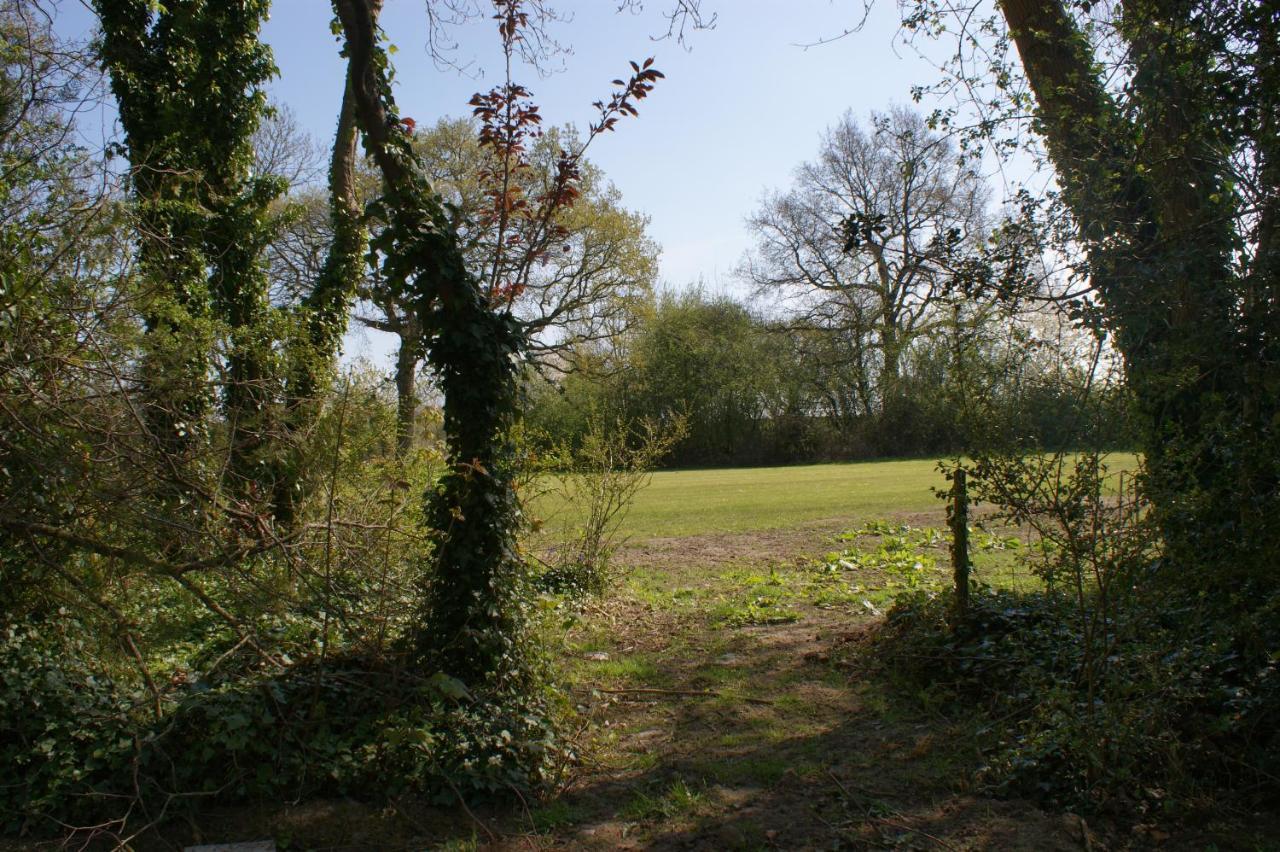 Spacious 4 Bed Family Cottage In Parkland Setting York Exterior foto
